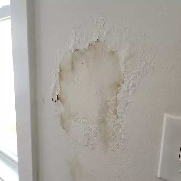 Expert Drywall Water Damage Repair in Pompano Beach, FL