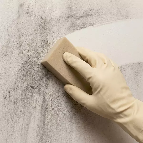 Smoke Cleaning in Pompano Beach, FL 