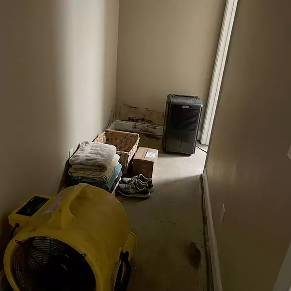 Expert Water Remediation in Pompano Beach, FL 