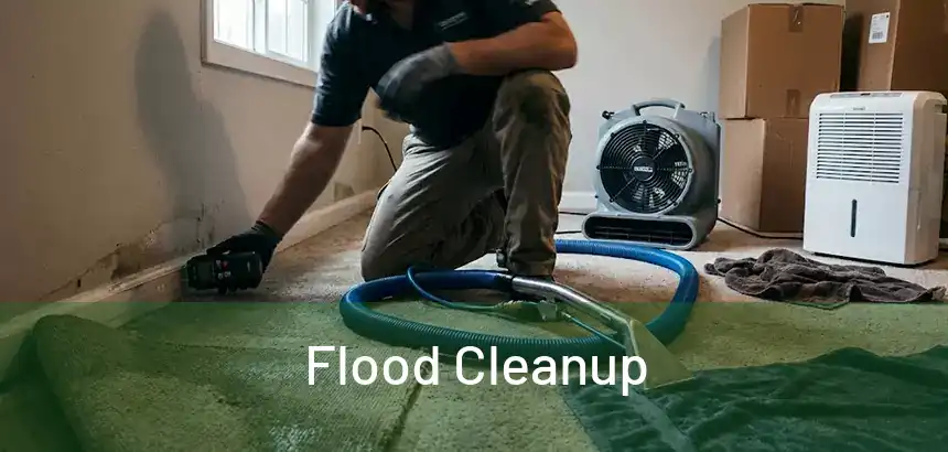  Flood Cleanup 