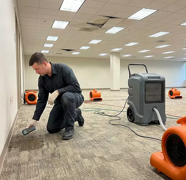 Why Businesses Choose Pompano Beach Water Damage Pro for Commercial Water Damage in Pompano Beach, FL?