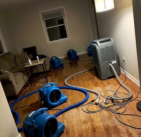 Why Homeowners & Businesses Choose Pompano Beach Water Damage Pro for Emergency Water Restoration in Pompano Beach, FL?