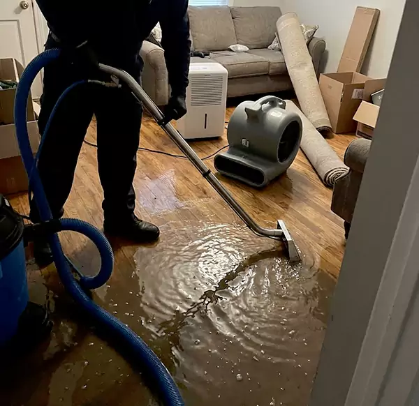 Why Homeowners & Businesses Choose Pompano Beach Water Damage Pro for Flood Cleanup in Pompano Beach, FL?