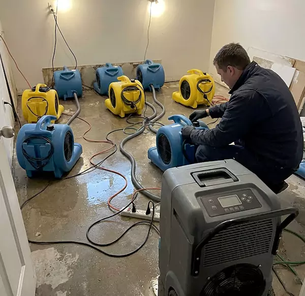 Why Homeowners & Businesses Choose Pompano Beach Water Damage Pro for Water Mitigation in Pompano Beach, FL?